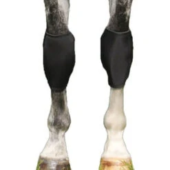Back On Track Horse Knee Wraps (pair)