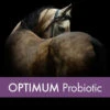 Digestion & Gut Health Supplement – Mad Barn Optimum Probiotic