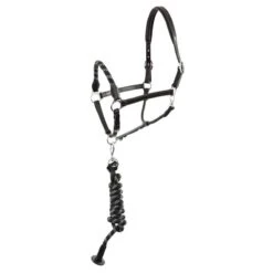 BR Dundee Halter & Lead Set - Black
