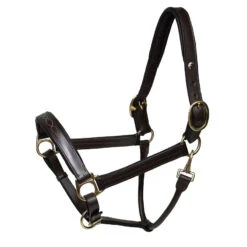 HDR Fancy Padded Leather Halter - Havana
