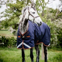 New Rambo Original W/Arches 100g Turnout Blanket - Navy/Orange With Tan/Brown