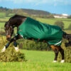 New Rambo Original W/Arches 100g Turnout Blanket - Green/Red