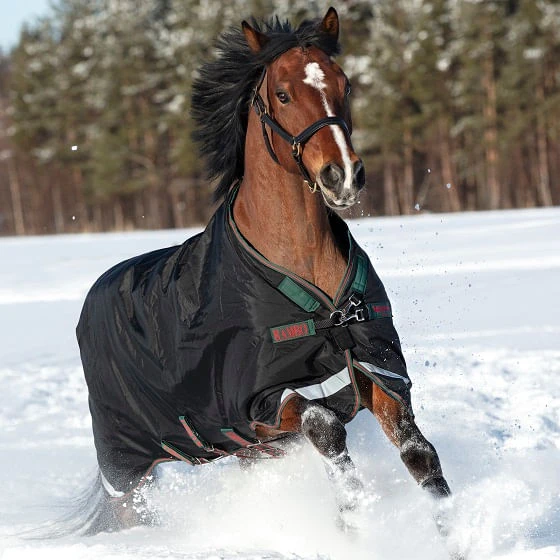 New Rambo Original W/Arches 200g Turnout Blanket - Black/Green/Red - Image 2