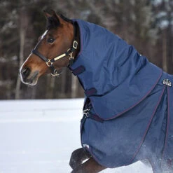 Rambo Optimo Rain Sheet Hood- Navy/Bugundy/Teal/Navy