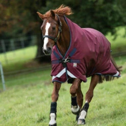 Rambo Wug 200g Turnout Blanket - Burgundy/Teal/Navy