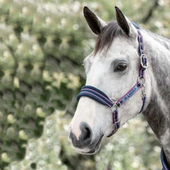 Rambo Padded Halter - Navy/Burgundy
