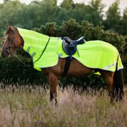 Amigo Flyrider - Fluorescent