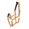 Schockemohle Sports Memphis Anatomic Halter - Mandarin