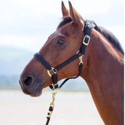 Shires Topaz Nylon Breakaway Halter - Black