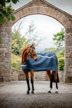 Amigo Horseware Dry Liner - Navy